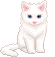 [Cyworld] Cute Cat