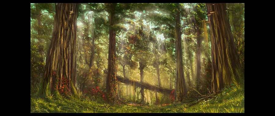 mystic forest 2