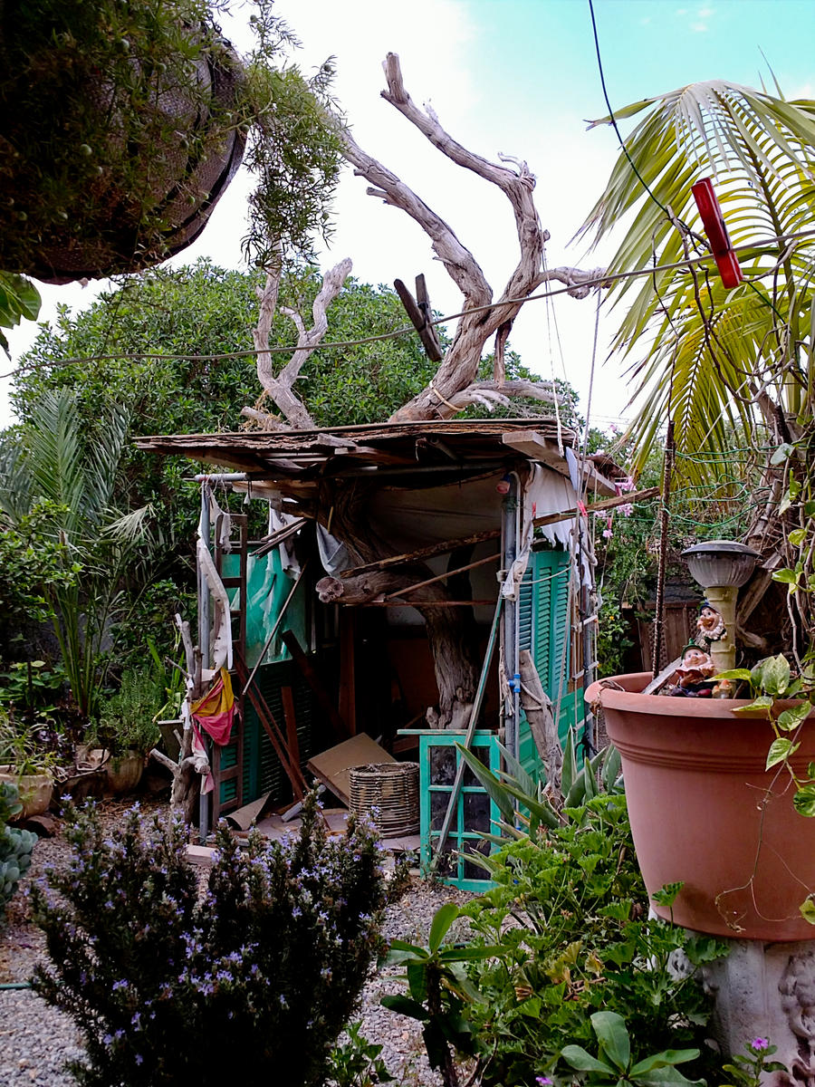 Treehouse in Fuerteventura