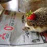 Strawberry Hat