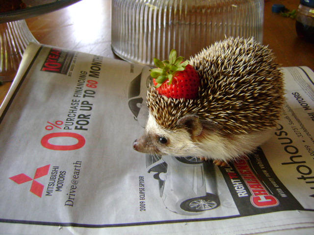 Strawberry Hat