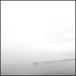 A touch of white by T-Brother