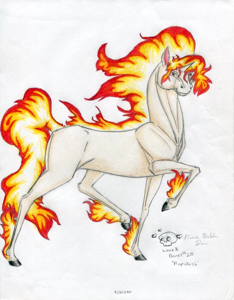 Rapidash