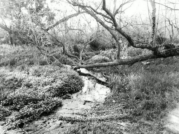 Gloom River