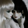 dolls 1