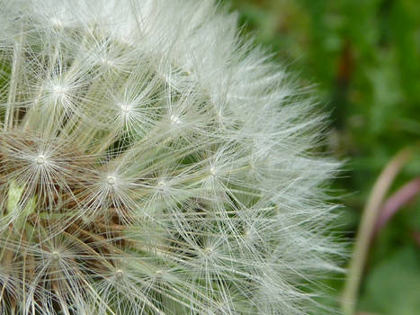 Closeup On A Clock