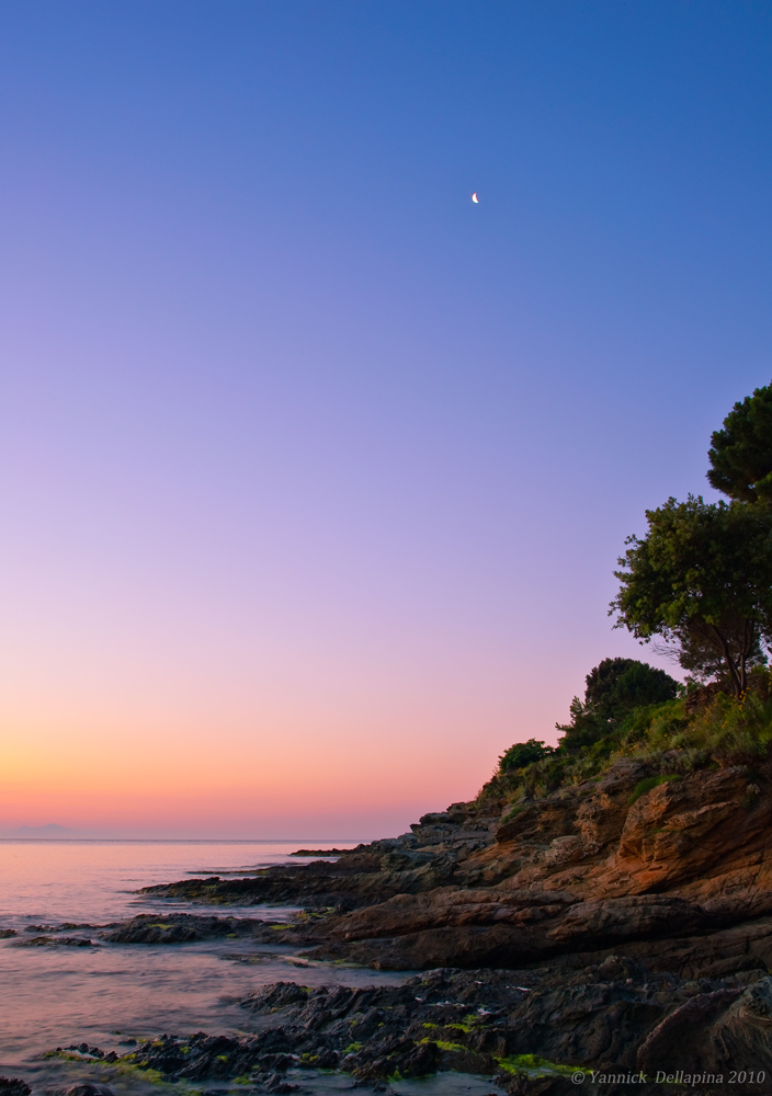 the color of the Corsican