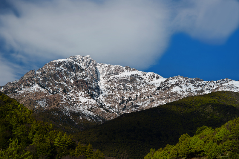 Culori di corsica