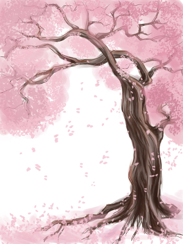 Корень сакуры. Сакура референсы дерево. Дерево Сакура рисунок. Сакура дерево нарисованное. Рисование дерева Сакуры.