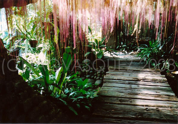 Baging by tunic-happy on DeviantArt