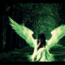 Angel de la naturaleza / Angel of nature
