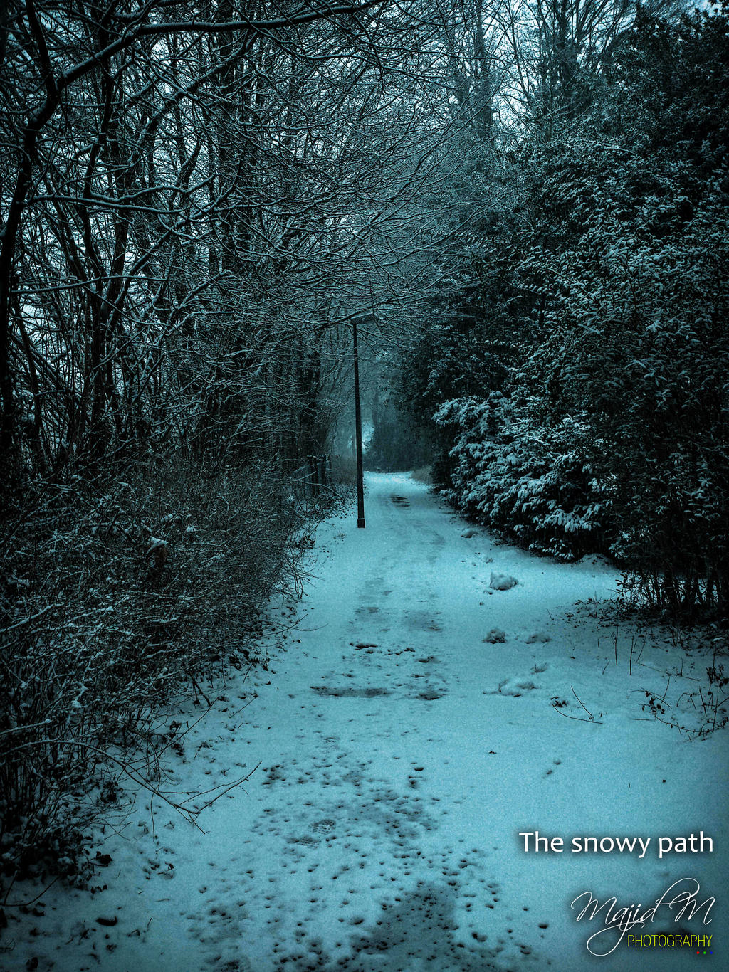 The snowy path