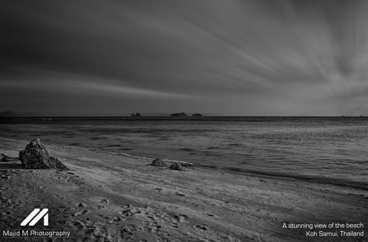 A stunning view of the beach