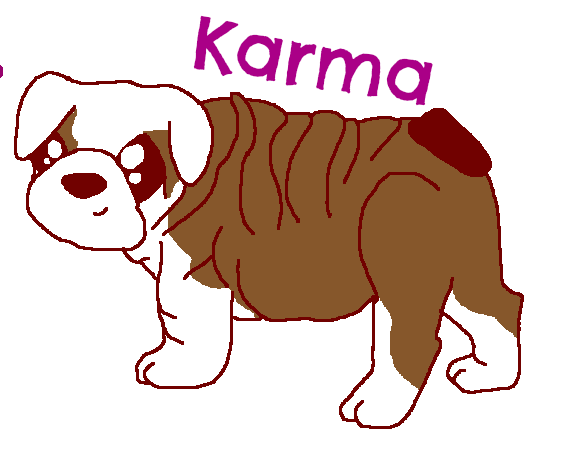 Karma Puppy