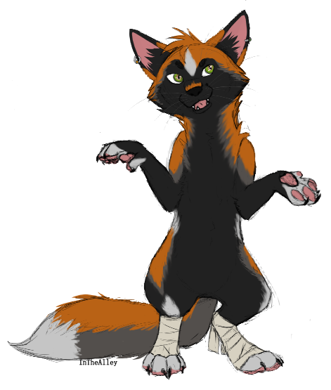 I can stand on my hind paws! [Gift]