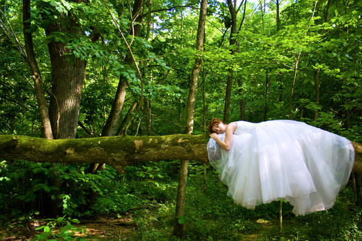 Sleeping Forest Bride