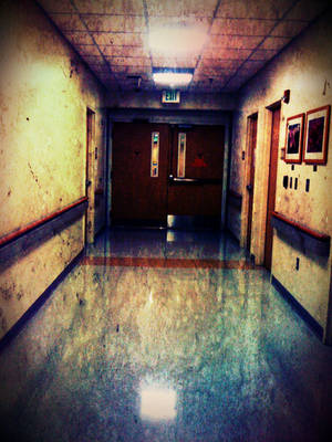 Hospital doors