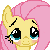 Fluttershy blush 