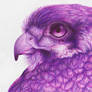 Ballpoint - Falcon