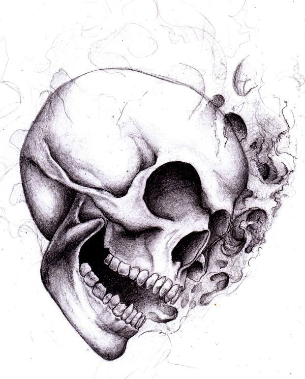 skull