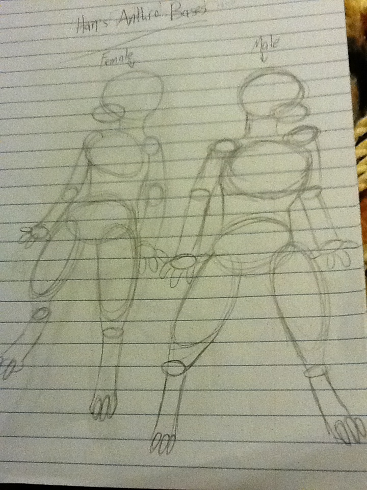 Anthro Bases