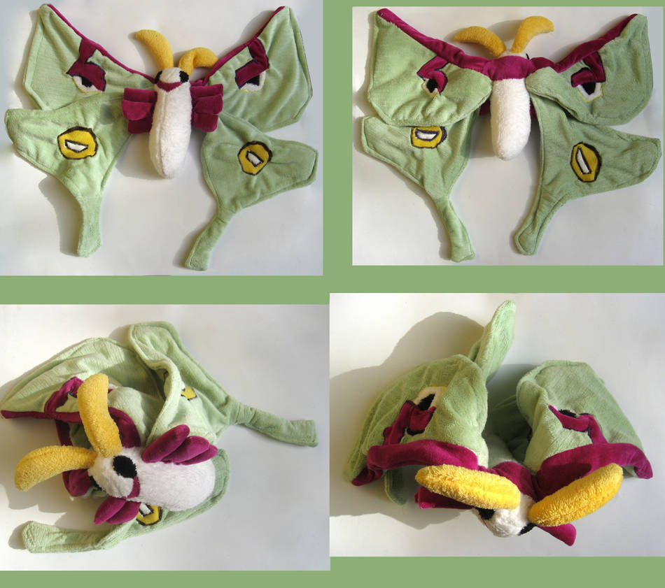 Luna Moth Plush Toy (Actias luna) by erinlamothe on DeviantArt