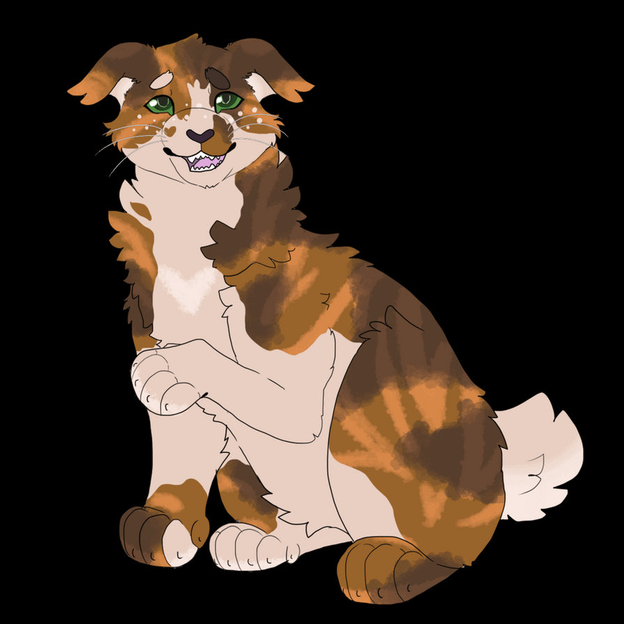 Cinderrabbit by 1pichettecol on DeviantArt