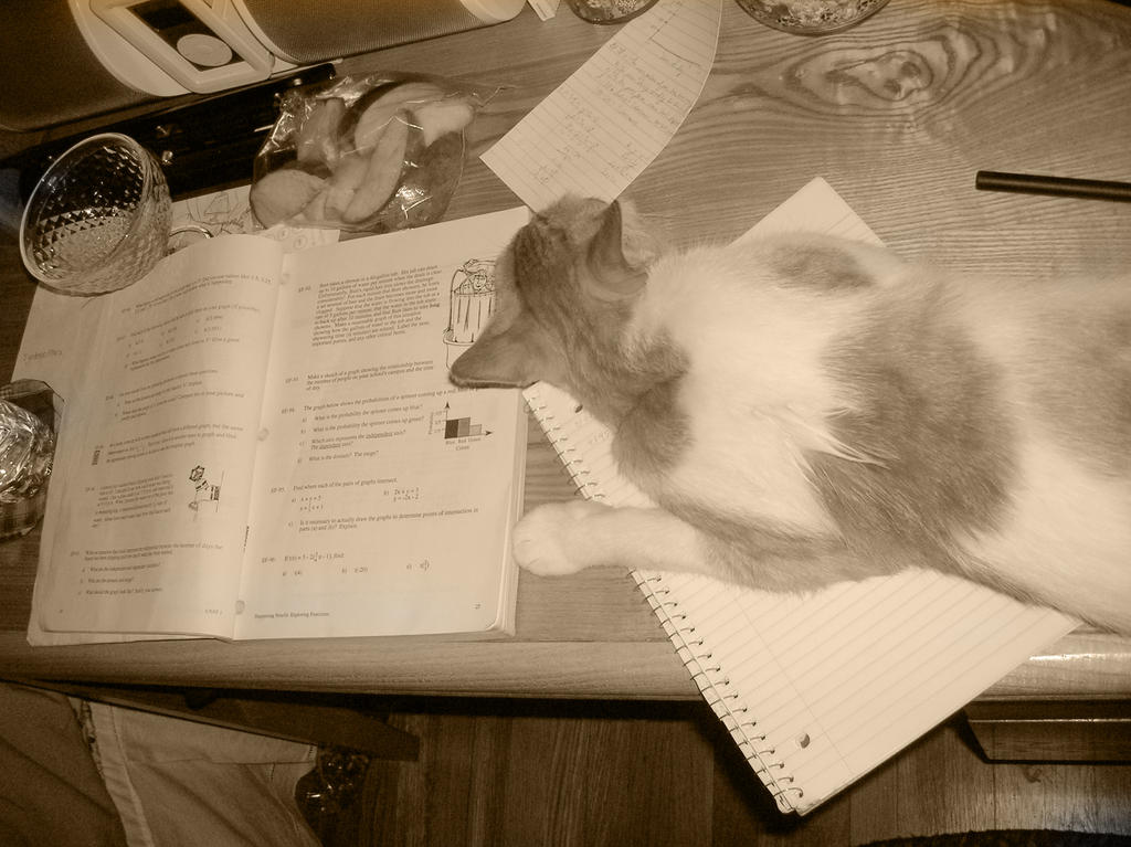 Homework Kills by animechic1029 on DeviantArt