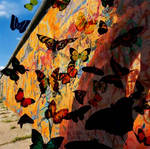 Graffiti Butterflies by exprafx