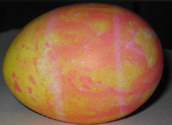 Magma Egg