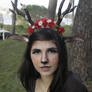 Deer makeup