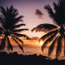 Pacific Island Sunset Through Palm Trees