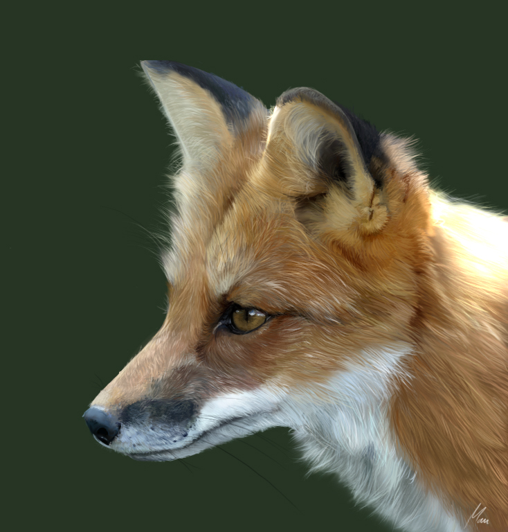 Photorealism fox