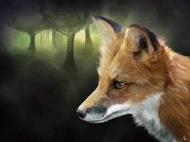 Fox