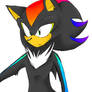 Shadow the rainbowhog