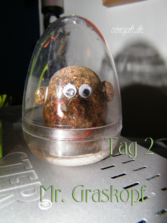 Mr. Graskopf Tag 2