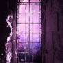 Purple window