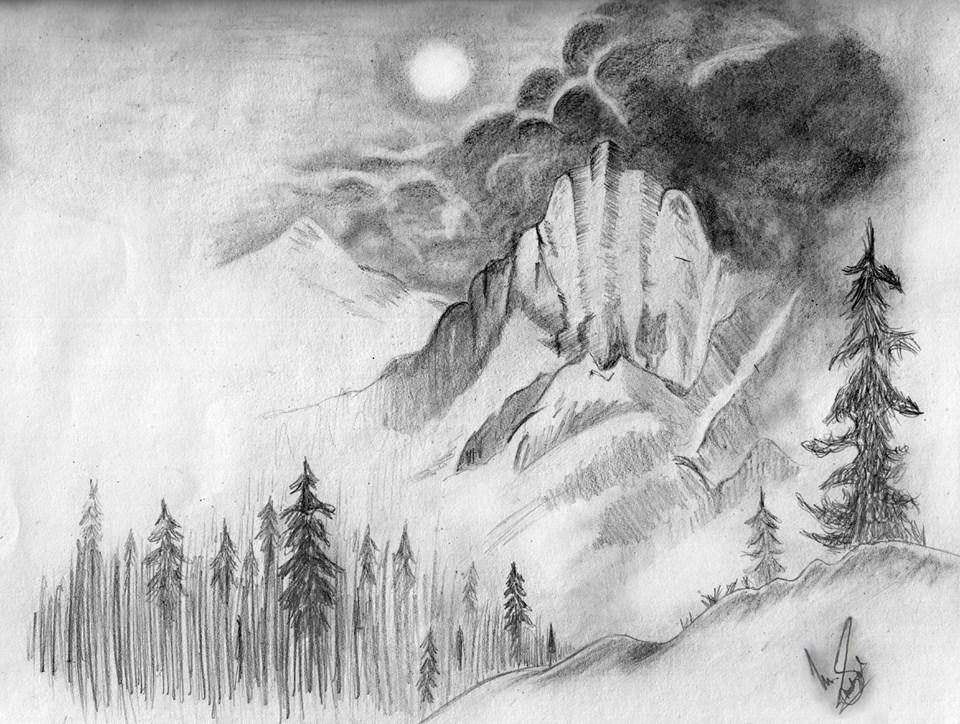 Forest pencil drawing... by multishaju on DeviantArt