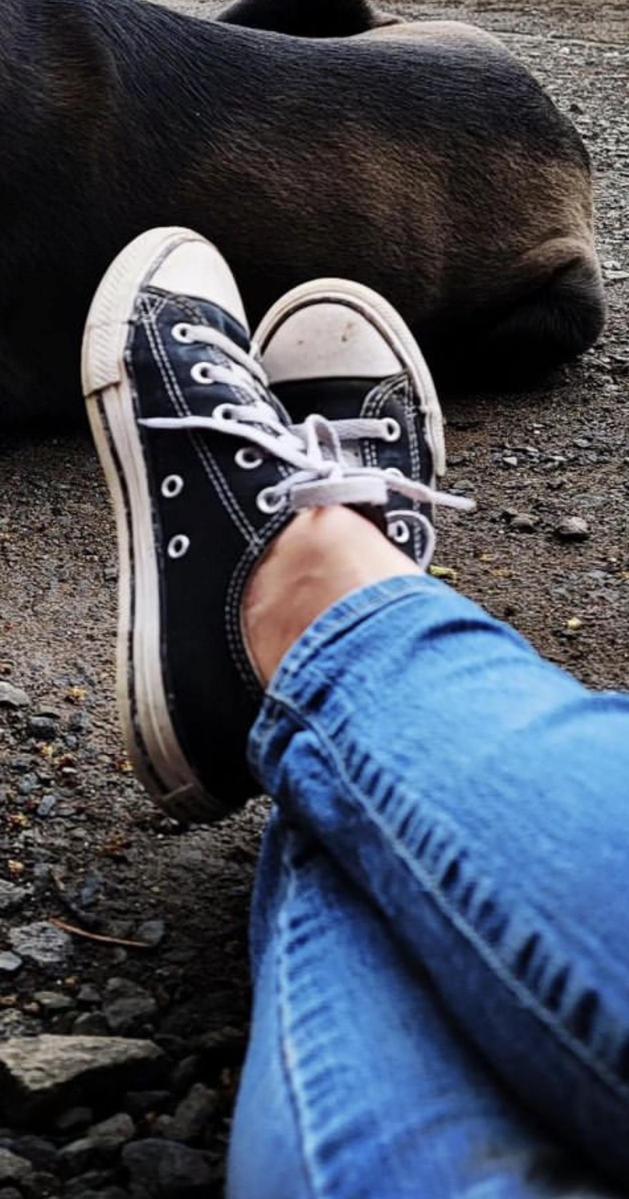 Giantess Converse By Asian Giantesshunter On Deviantart Giantess Converse By Asian Giantesshunter On Deviantart