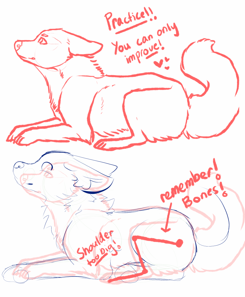 Anatomy tips! (Also a red-line)