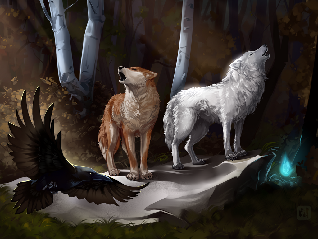 Wolf and Raven by Dragon-FU on DeviantArt