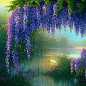 Wisteria Fantasy