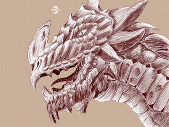 Dragon Sketch