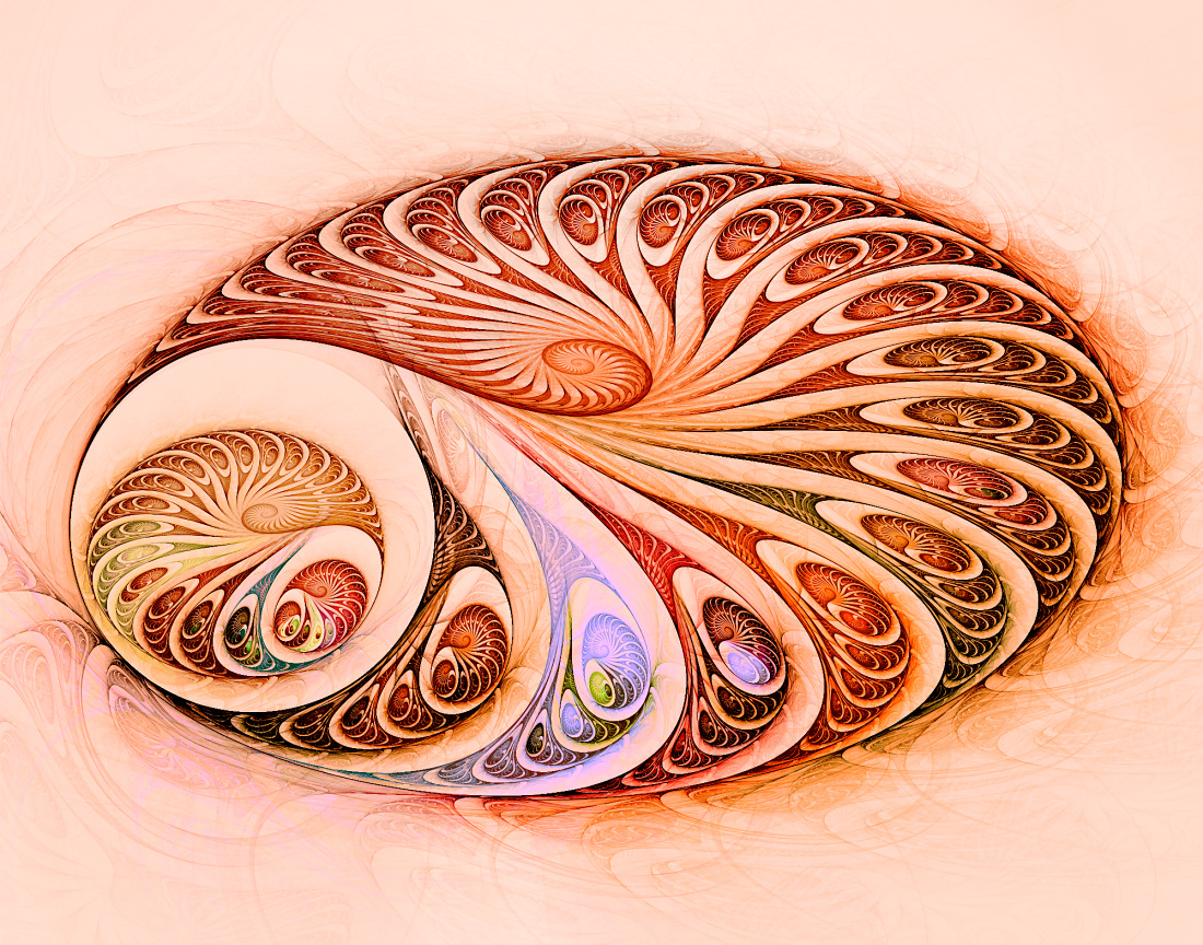 Spirals in spirals in spirals