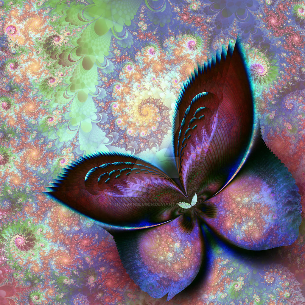 The dream of a butterfly