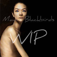 Maybe Blackbird - WIP