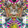 Transcendence