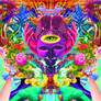 Transcendence
