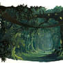 Tall Trees