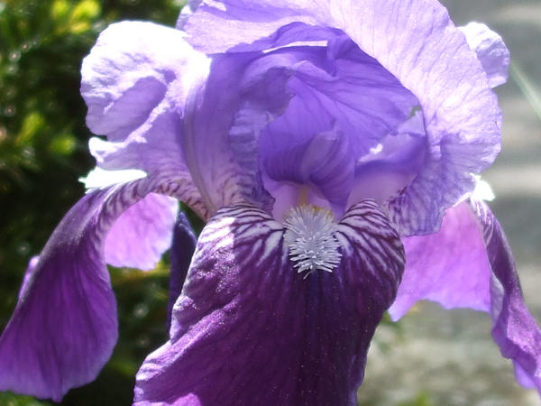 Gradation by greenlee4 on DeviantArt